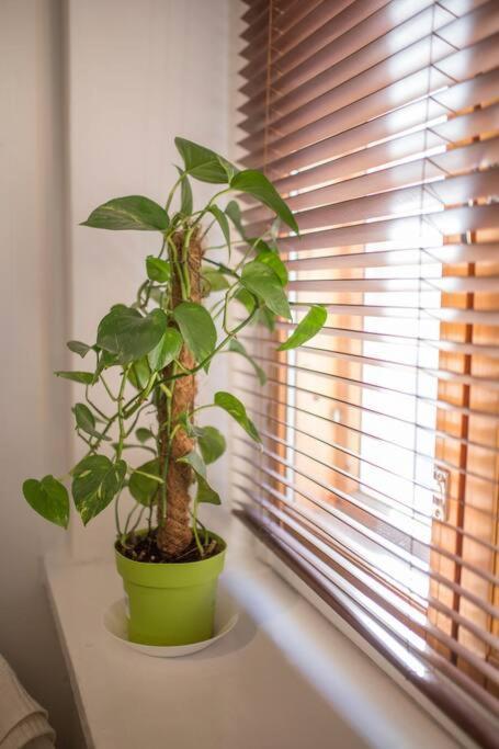 A Lovely Apartment Near Railway Station And Arena. 탐페레 외부 사진