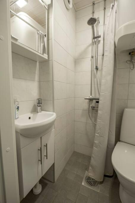 A Lovely Apartment Near Railway Station And Arena. 탐페레 외부 사진
